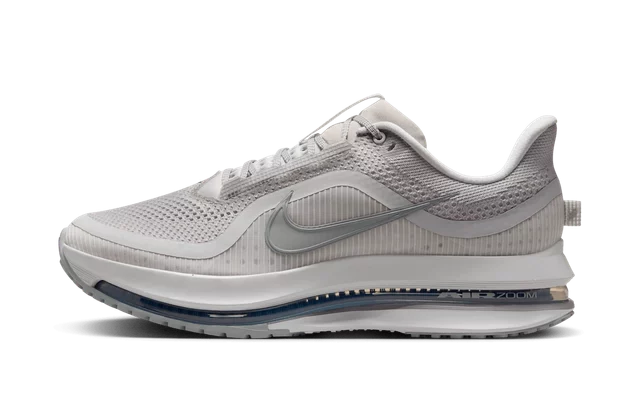 Nike Pegasus Premium 'Vast Grey'