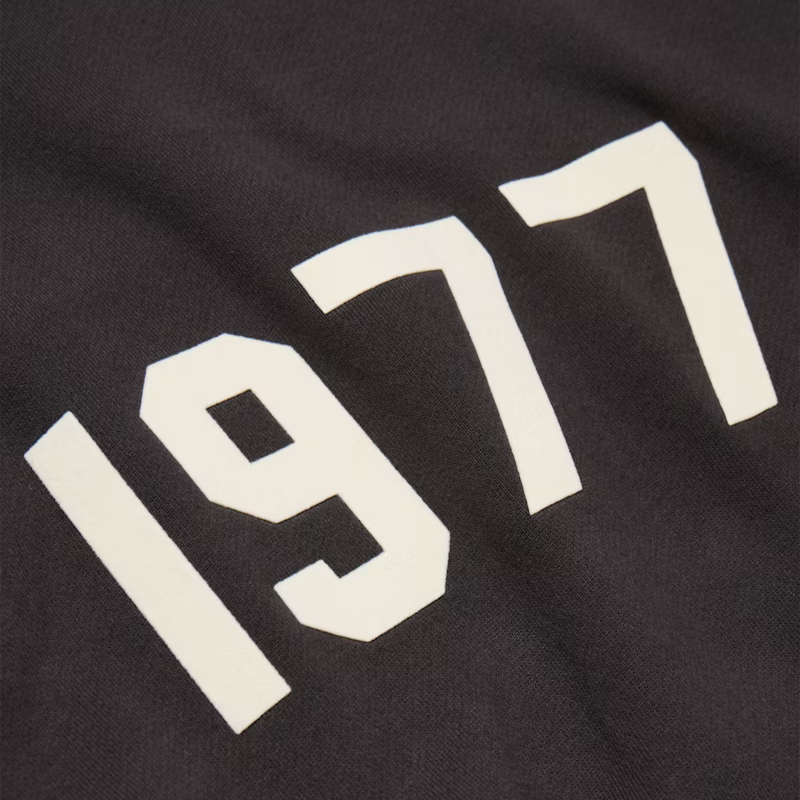 Fear of God Essentials 1977 Hoodie Iron - Image 2